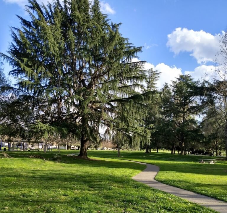 Soccer Field image 2