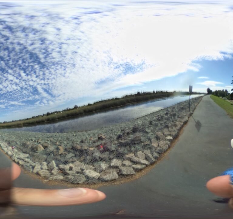 Soccer Field image 3