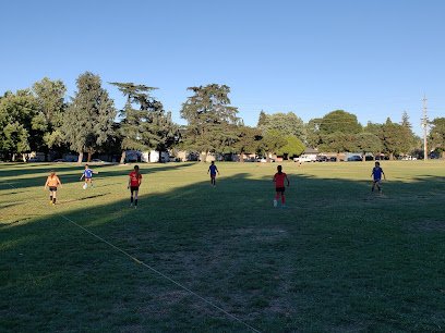 Soccer Field image 1