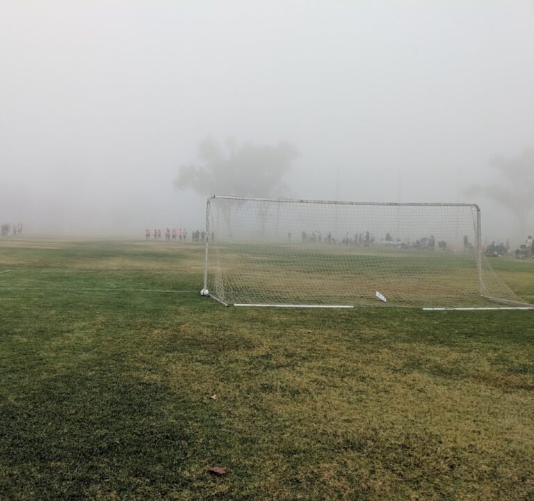 Soccer Field image 3