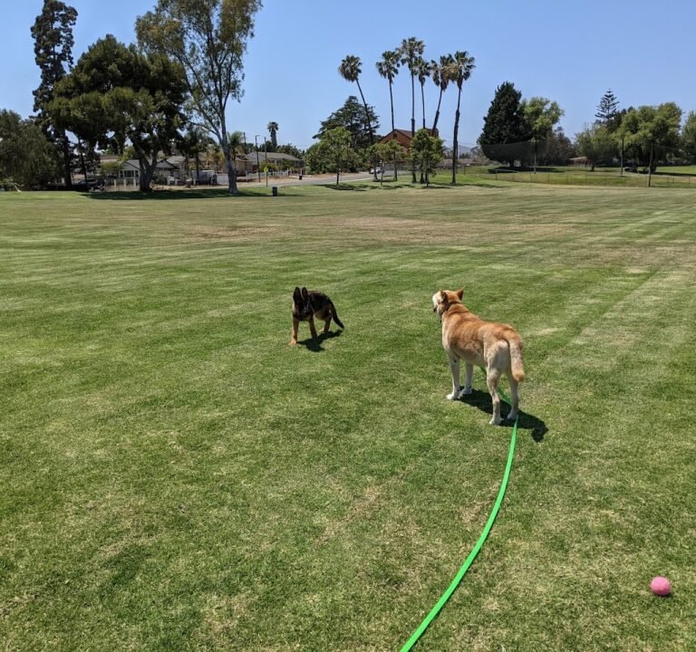 Soccer Field image 2