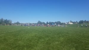 Soccer Field image 1