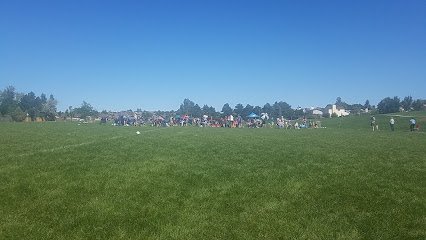 Soccer Field image 1