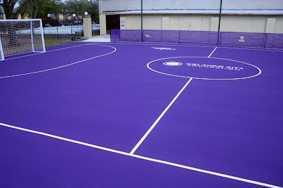 Soccer Field image 1