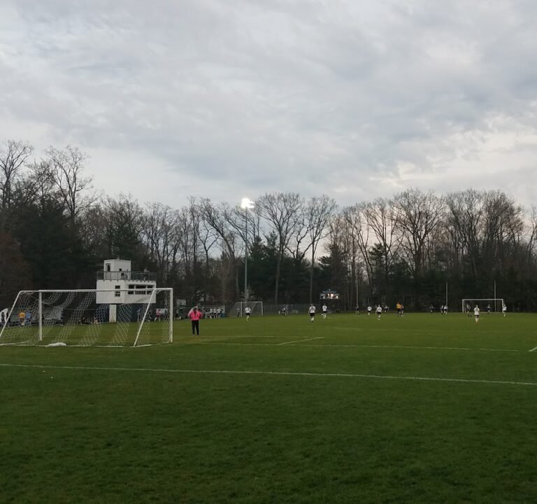 Soccer Field image 3