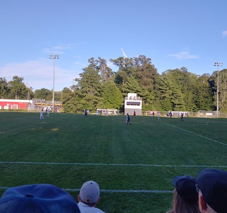 Soccer Field image 2