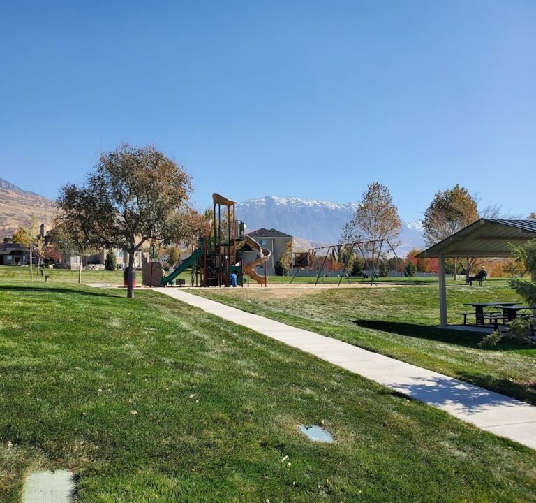 Soccer Field image 2