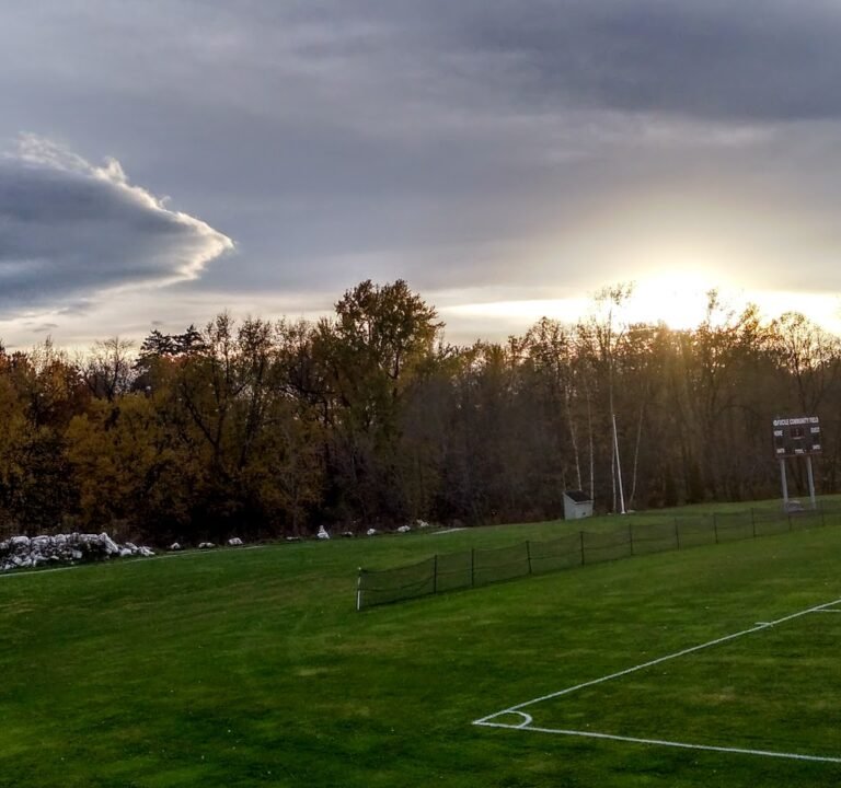 Soccer Field image 2