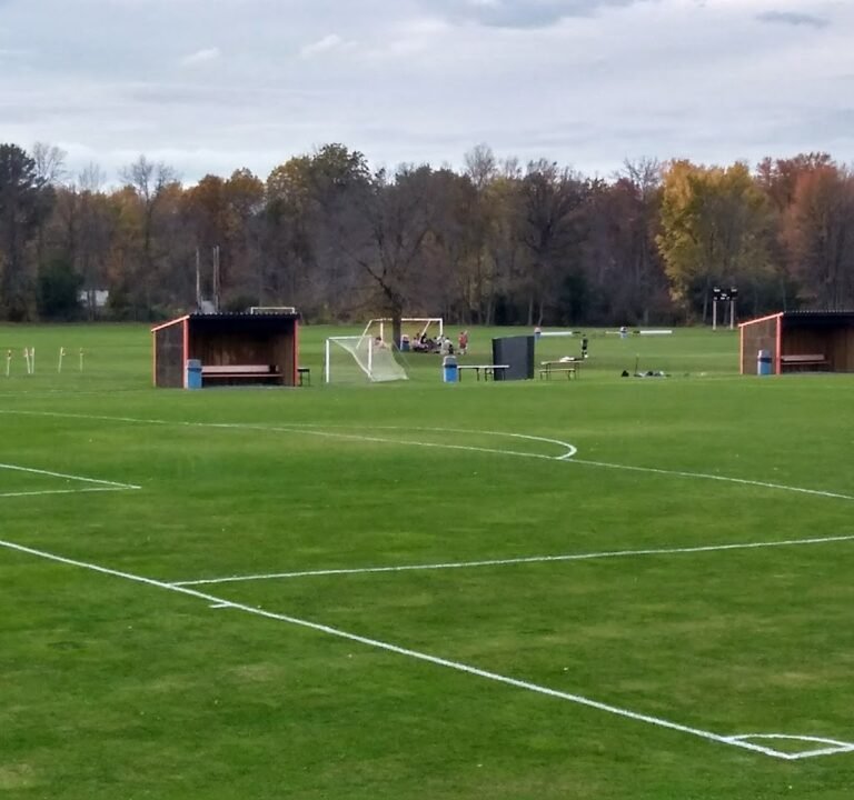 Soccer Field image 3