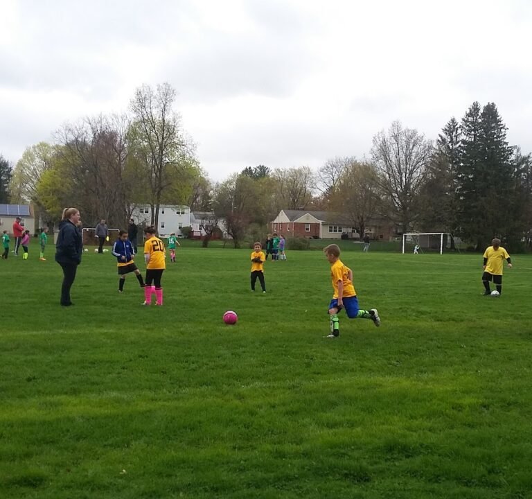 Soccer Field image 3