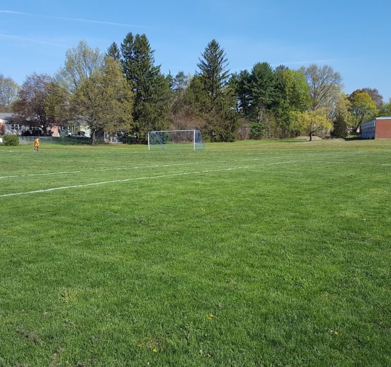 Soccer Field image 2