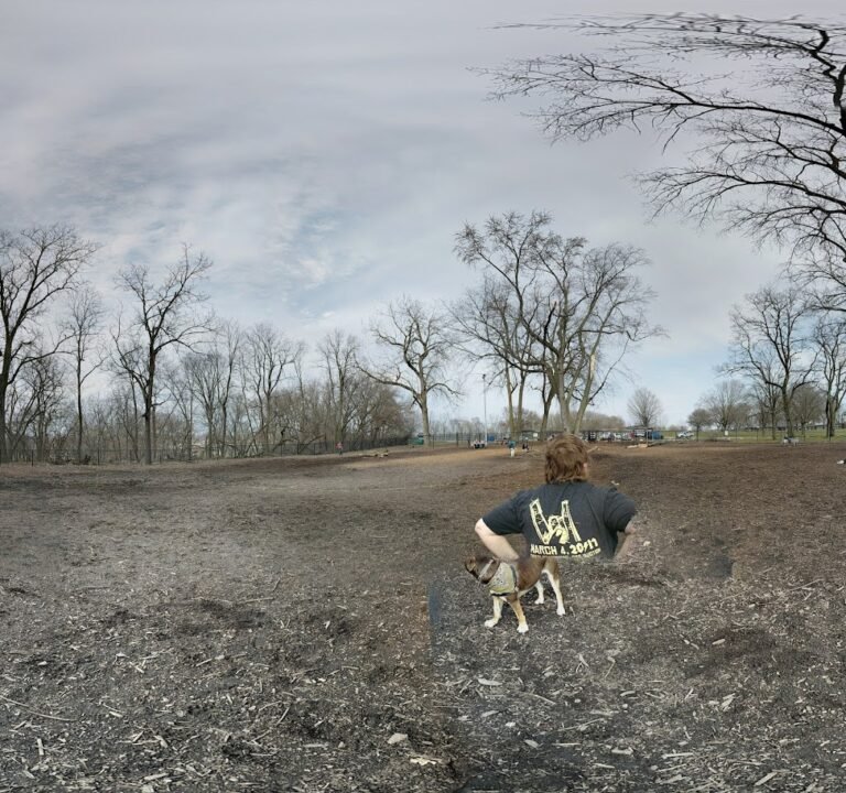 Soccer Field image 3