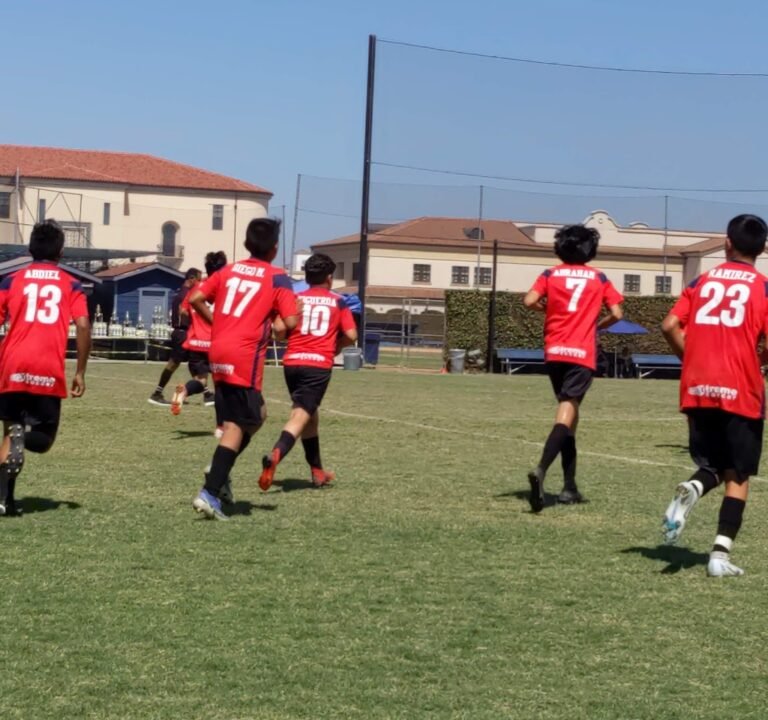 Soccer Field image 3