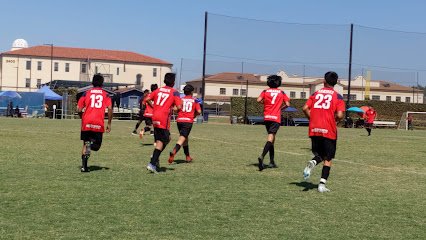 Soccer Field image 1