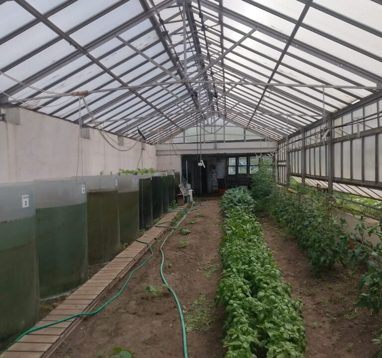 Soccer Field image 2