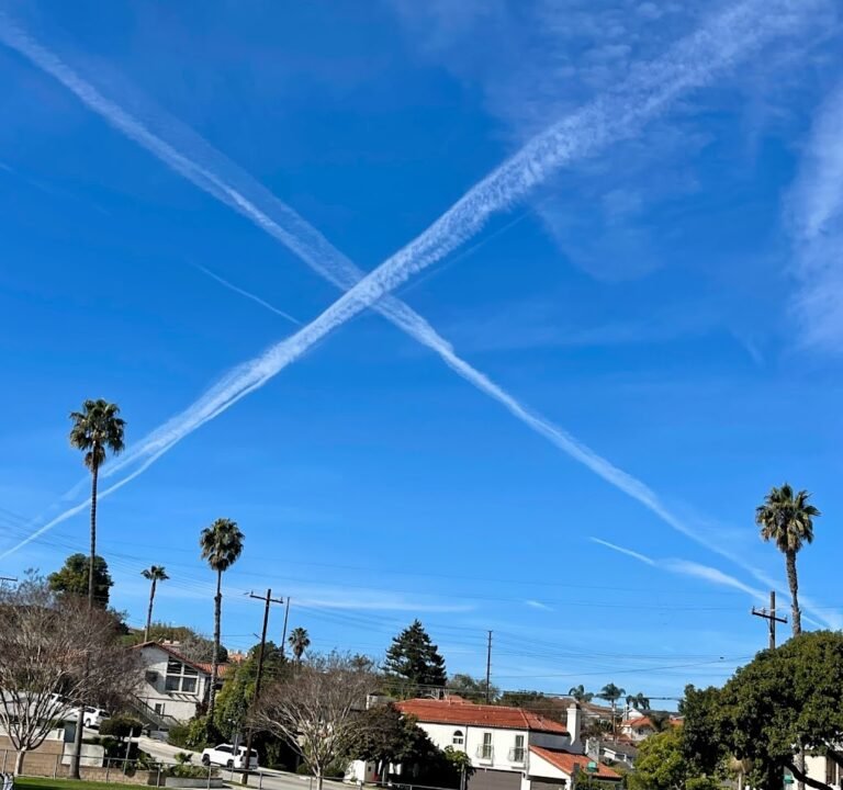 Soccer Field image 2