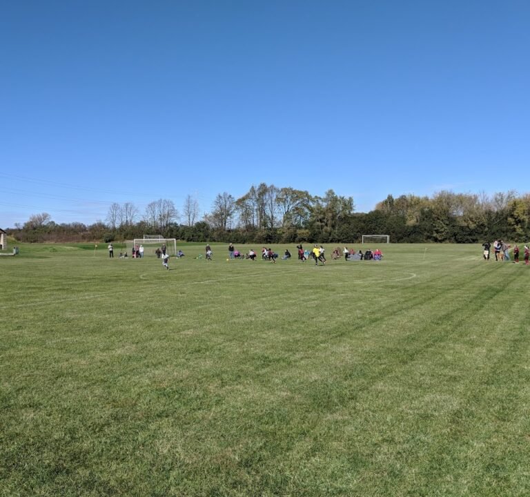 Soccer Field image 2
