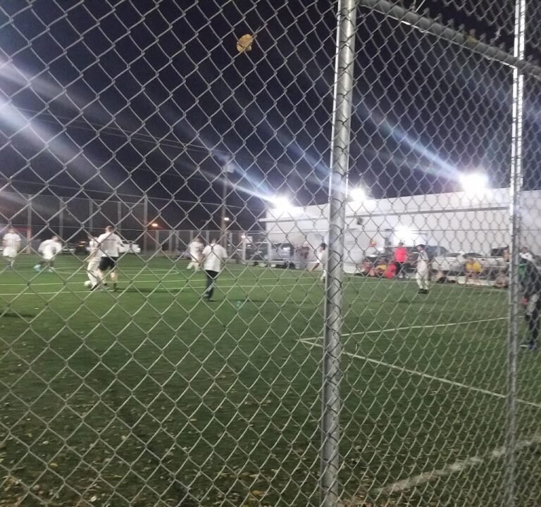 Soccer Field image 3