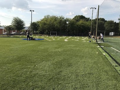 Soccer Field image 1