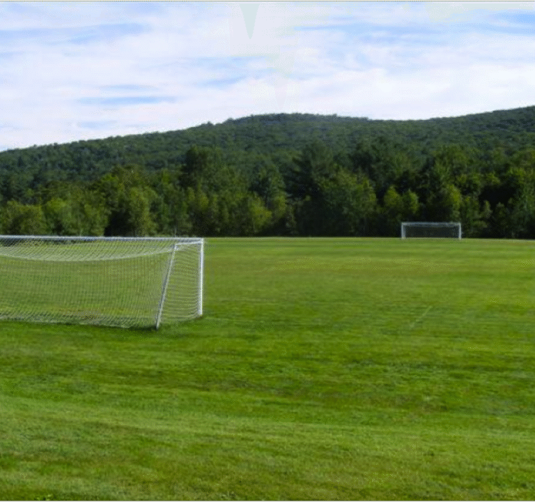 Soccer Field image 2
