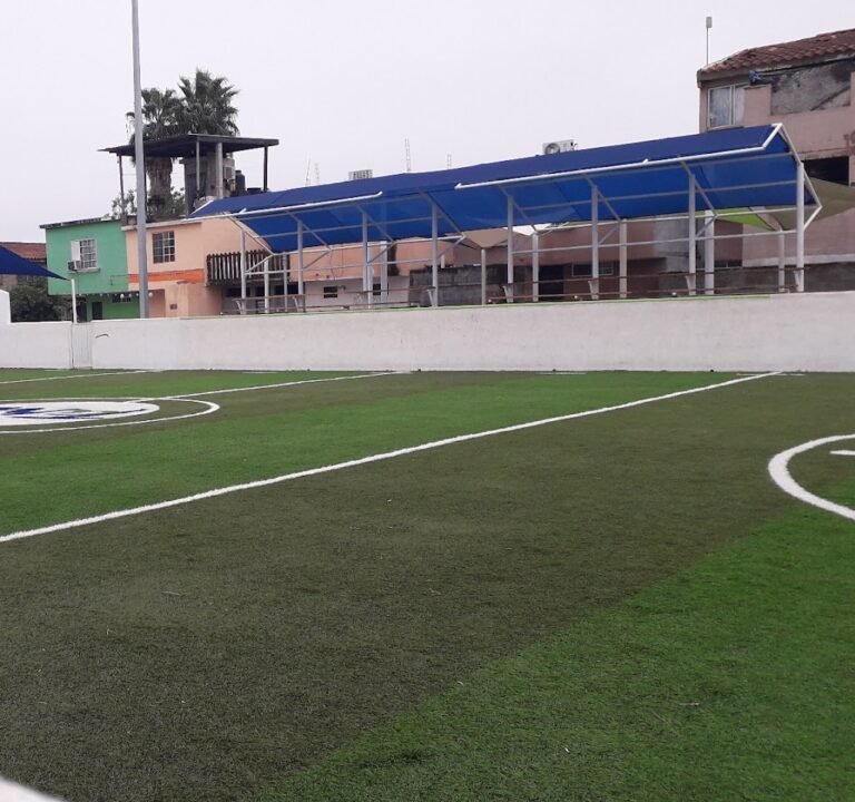 Soccer Field image 2