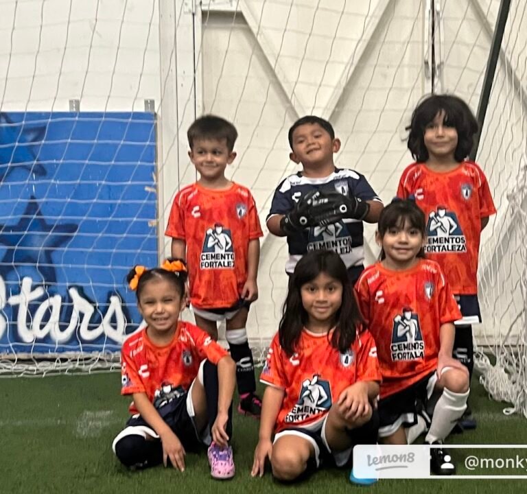 Soccer Field image 3