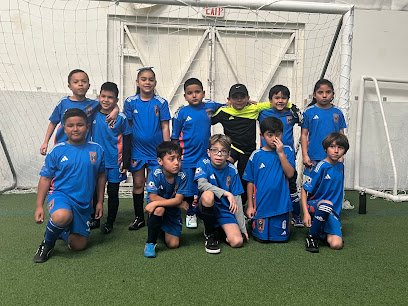 Soccer Field image 1