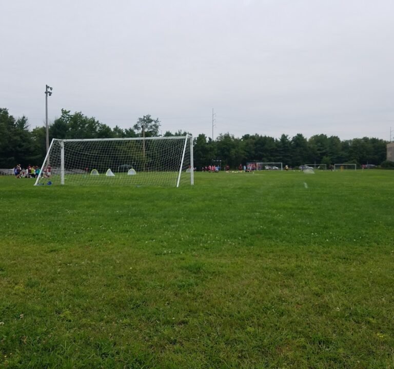 Soccer Field image 2