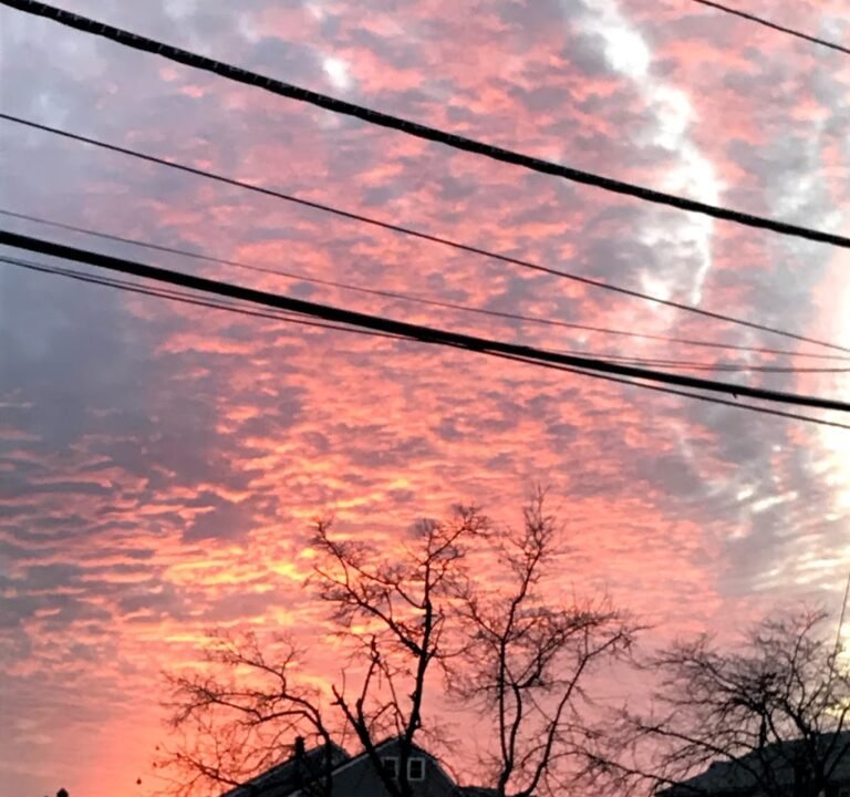 Soccer Field image 2