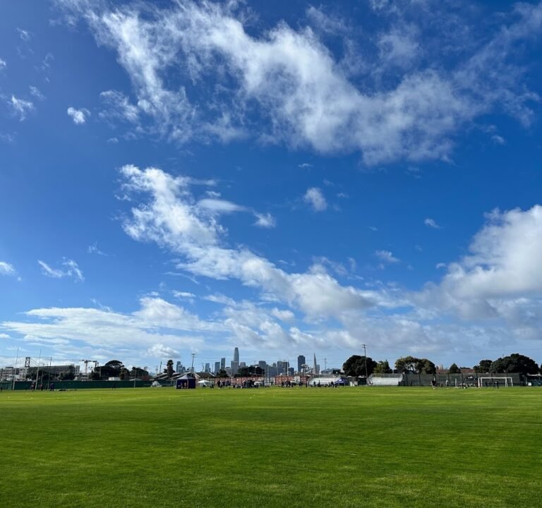 Soccer Field image 2