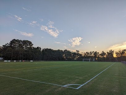 Soccer Field image 1