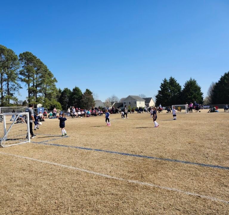 Soccer Field image 3