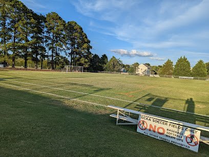 Soccer Field image 1