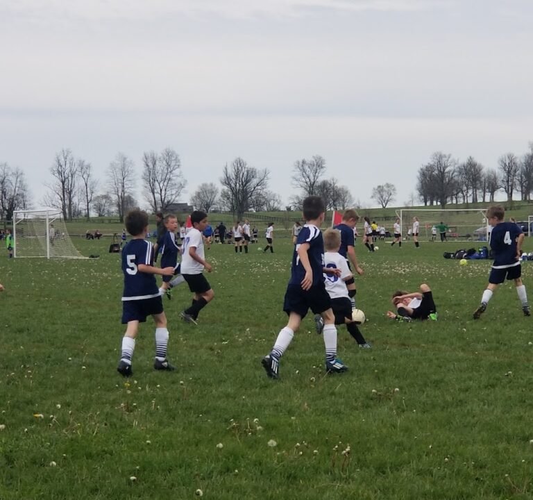 Soccer Field image 2