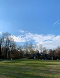 Soccer Field image 1