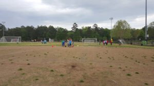 Soccer Field image 1