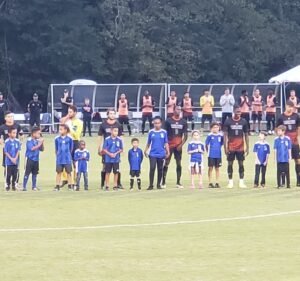 Soccer Field image 3