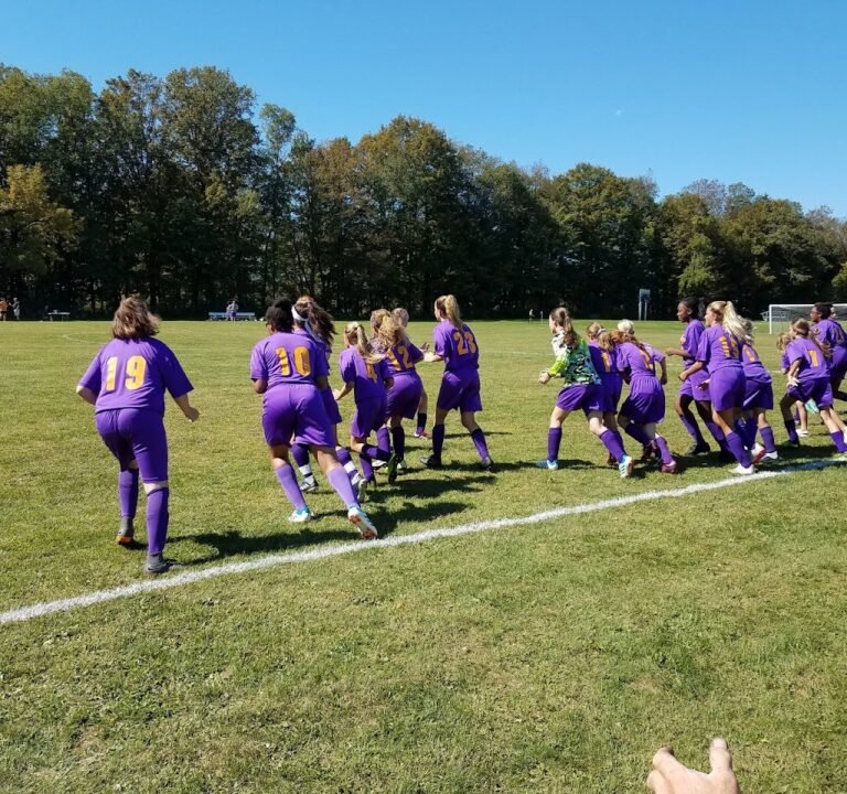 Soccer Field image 3