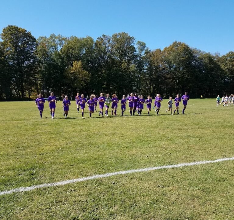 Soccer Field image 2