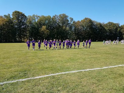 Soccer Field image 1