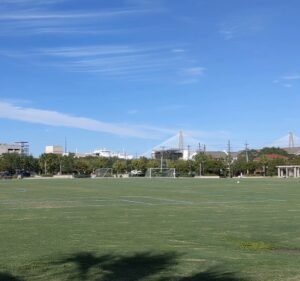 Soccer Field image 4