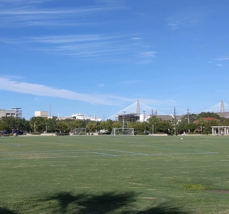 Soccer Field image 4