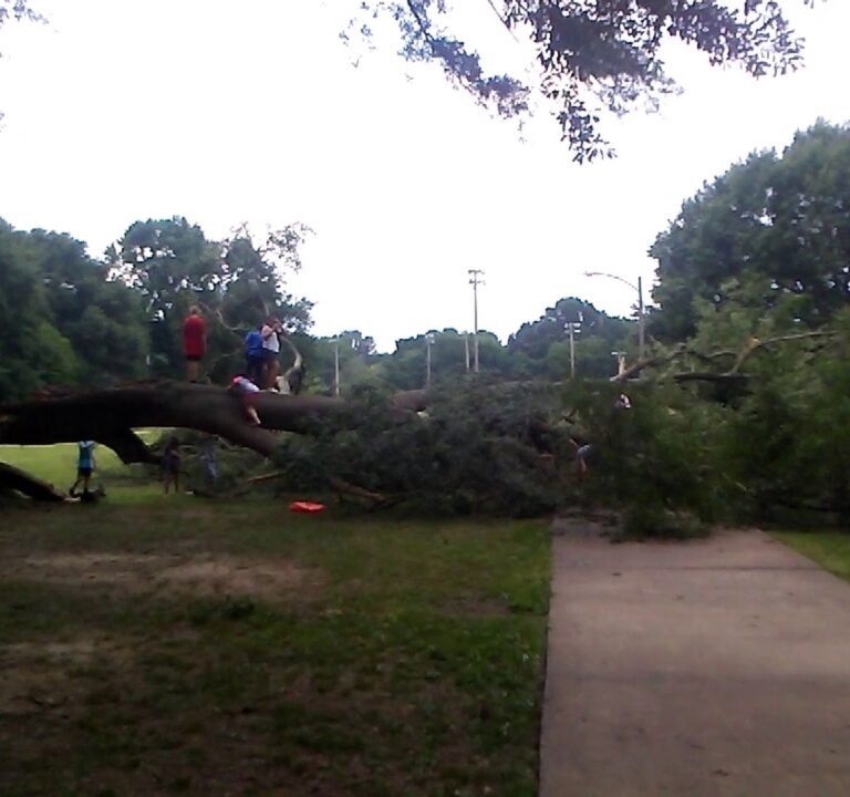 Soccer Field image 3