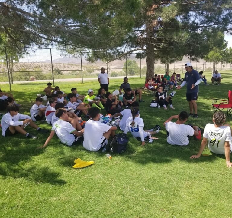 Soccer Field image 2