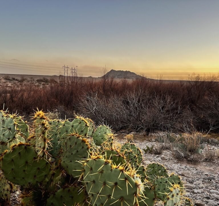 Soccer Field image 3