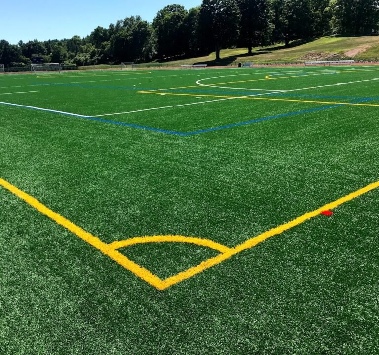 Soccer Field image 2