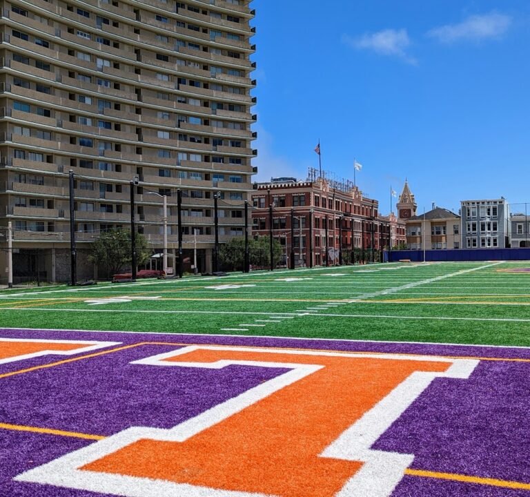 Soccer Field image 2