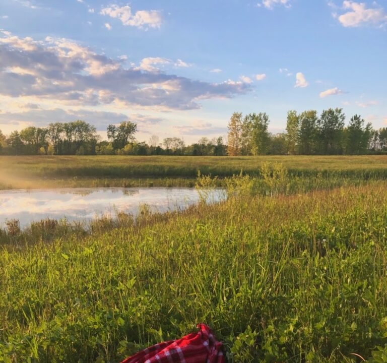 Soccer Field image 2