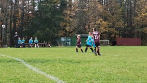 Soccer Field image 1