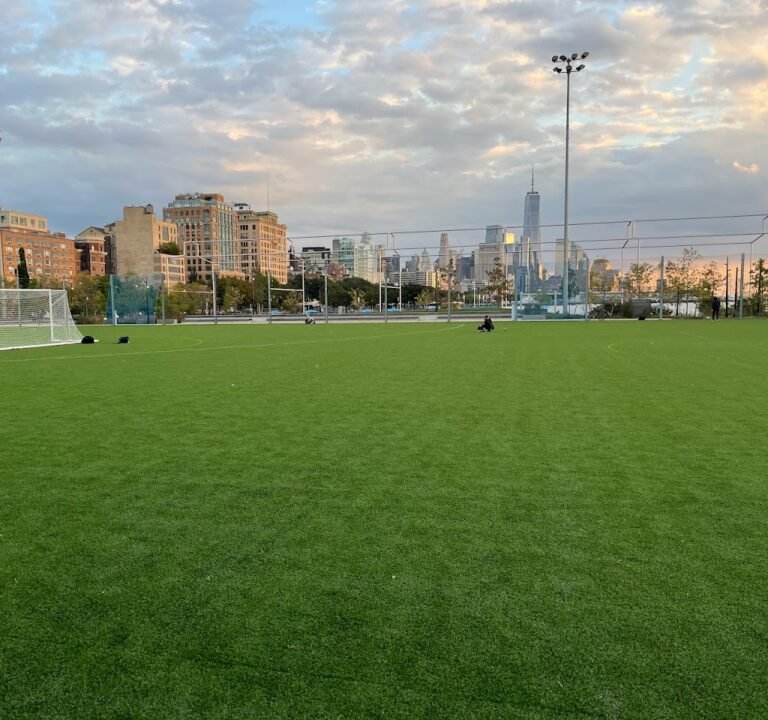 Soccer Field image 2
